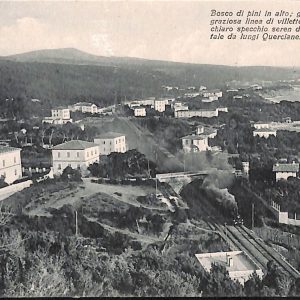 ac8206 - CARTOLINA D'EPOCA - Livorno Provincia - Quercianella