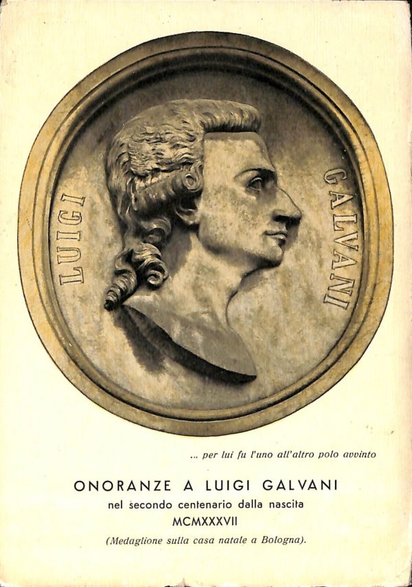 ab4946 -  CARTOLINA  D'EPOCA -  Varese Provincia :  LUIGI GALVANI