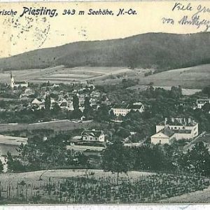 00395 - Ansichtskarte Vintage PORTCARD - AUSTRIA  OSTERREICH -  PLESTING  1917