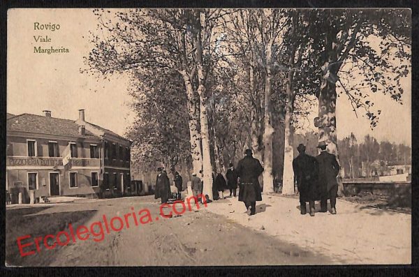 ai1127 - CARTOLINA D'EPOCA - Rovigo Città - Viale Margherita