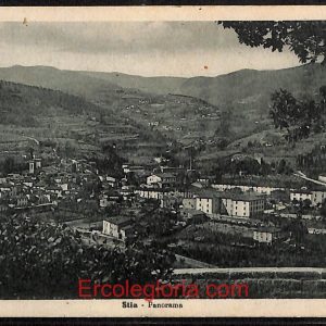 ae0478 - CARTOLINA  D'EPOCA - Arezzo Provincia - Stia  1949