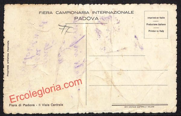 ah4290 - CARTOLINA D'EPOCA - Padova Città - Fiera di Padova - immagine 2