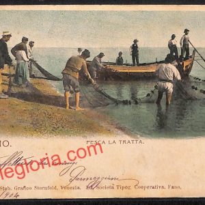 ah6655 - CARTOLINA  D'EPOCA - Pesaro e Urbino Provincia - Fano