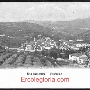 ae0480 - CARTOLINA  D'EPOCA - Arezzo Provincia - Stia