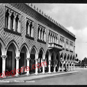 ai1163 - CARTOLINA D'EPOCA - Rovigo Provincia - Badia Polesine