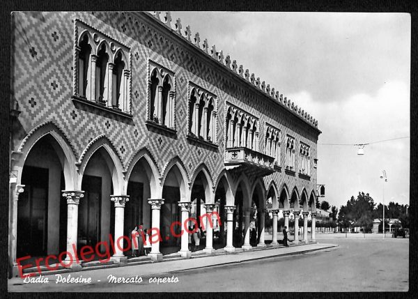 ai1163 - CARTOLINA D'EPOCA - Rovigo Provincia - Badia Polesine