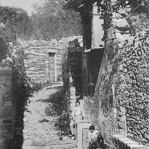 ac2622 - CARTOLINA  D'EPOCA - Perugia Provincia - ASSISSI