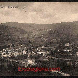 ae0482 - CARTOLINA  D'EPOCA - Arezzo Provincia - Stia  1919