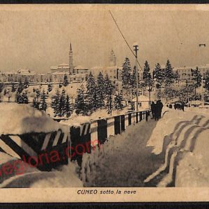 ae5674 - CARTOLINA D'EPOCA - Cuneo Città - Panorama