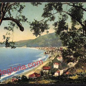 ai5019 - CARTOLINA D'EPOCA - Savona Provincia - Alassio
