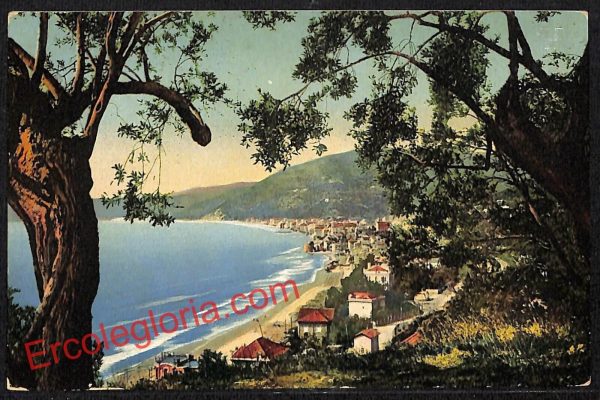 ai5019 - CARTOLINA D'EPOCA - Savona Provincia - Alassio