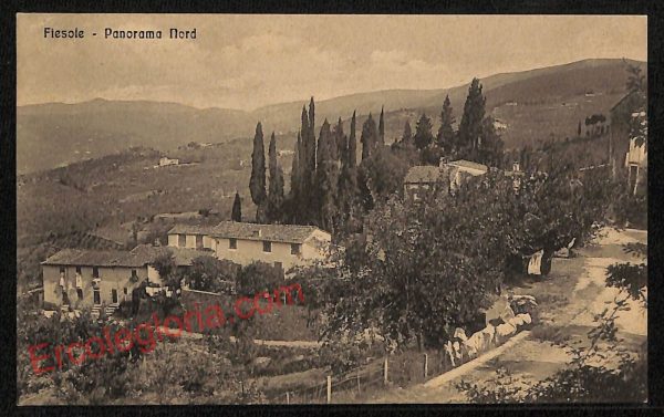 ae7706 - CARTOLINA D'EPOCA - Firenze Provincia - Fiesole