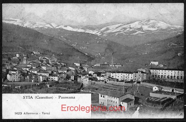 ae0484 - CARTOLINA  D'EPOCA - Arezzo Provincia - Stia  1908