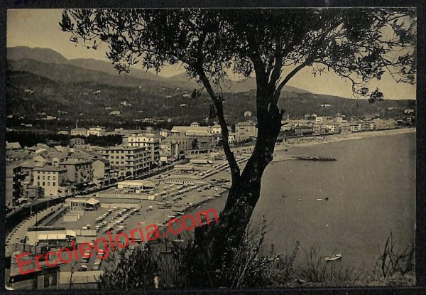 ai5034 - CARTOLINA D'EPOCA - Savona Provincia - Albissola Marina