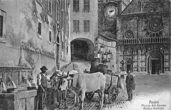ac2626 - CARTOLINA  D'EPOCA - Perugia Provincia - ASSISSI  1923
