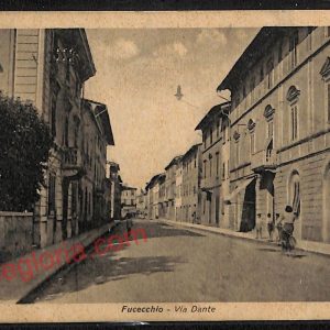 ae7742 - CARTOLINA D'EPOCA - Firenze Provincia - Fucecchio