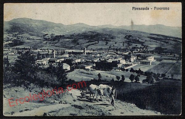 ae7750 - CARTOLINA D'EPOCA - Firenze Provincia - Firenzuola