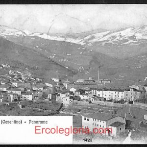 ae0486 - CARTOLINA  D'EPOCA - Arezzo Provincia - Stia  1912