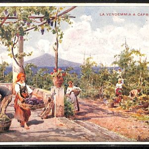 ab8270 - CARTOLINA  D'EPOCA - Napoli  Provincia  - CAPRI