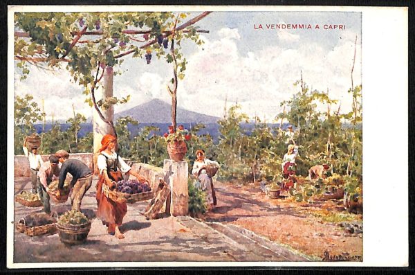 ab8270 - CARTOLINA  D'EPOCA - Napoli  Provincia  - CAPRI