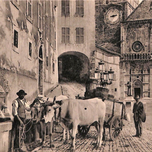 ac2629 - CARTOLINA  D'EPOCA - Perugia Provincia - ASSISSI