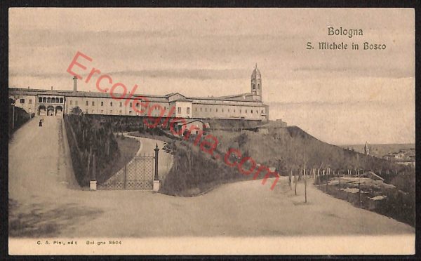 ae2139 - CARTOLINA  D'EPOCA - Bologna Città - S. Michele in Bosco