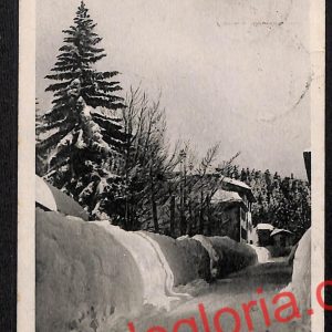 ah8109 - CARTOLINA D'EPOCA - Pistoia Provincia - Abetone