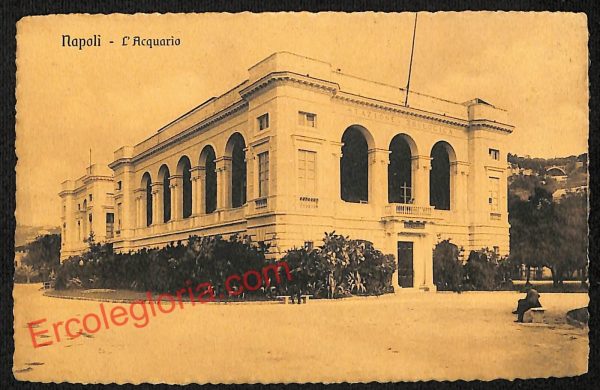ag9831 - CARTOLINE D'EPOCA - Napoli Citta - L' Acquario