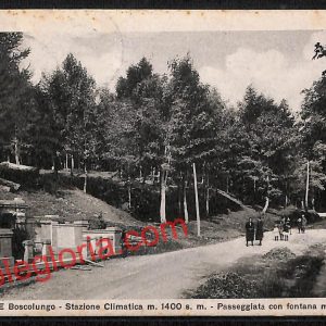 ah8116 - CARTOLINA D'EPOCA - Pistoia Provincia - Abetone