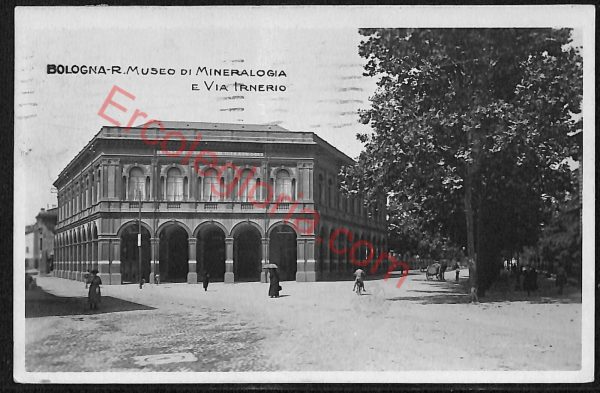 ae2144 - CARTOLINA  D'EPOCA - Bologna Città - R. Museo di Mineralogia