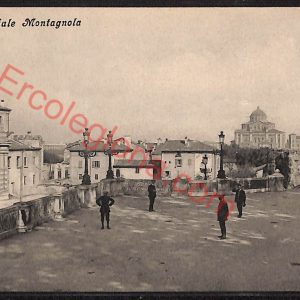 ae2161 - CARTOLINA  D'EPOCA - Bologna Città - Viale Montagnola