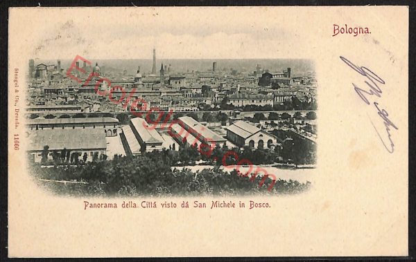 ae2170 - CARTOLINA  D'EPOCA - Bologna Città - Panorama della Città