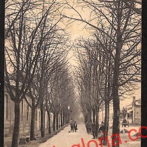 ah6315 - CARTOLINE  D'EPOCA - Pavia Provincia - Voghera