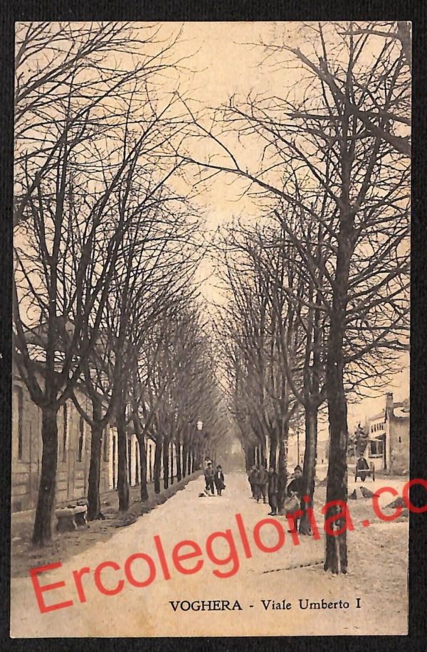 ah6315 - CARTOLINE  D'EPOCA - Pavia Provincia - Voghera