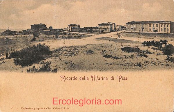 ad6976 - CARTOLINA D'EPOCA - Pisa Provincia - Marina di Pisa