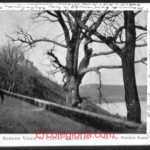 ad8175 - CARTOLINA D'EPOCA - Roma Provincia - Castel Gandolfo 1902