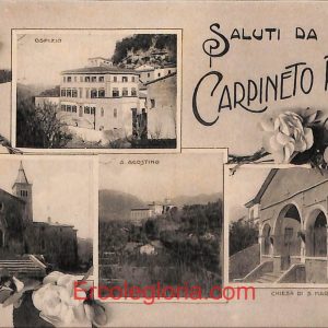 ad8199 - CARTOLINA D'EPOCA - Roma Provincia - Carpineto Romano