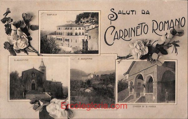 ad8199 - CARTOLINA D'EPOCA - Roma Provincia - Carpineto Romano