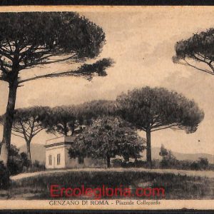 ad8208 - CARTOLINA D'EPOCA - Roma Provincia - Genzano  1929