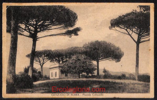 ad8208 - CARTOLINA D'EPOCA - Roma Provincia - Genzano  1929