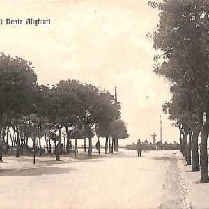 ab7063  -  CARTOLINA  D'EPOCA - Savona Città - Viali Dante Alighieri