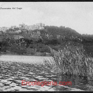 ad8211 - CARTOLINA D'EPOCA - Roma Provincia - Genzano