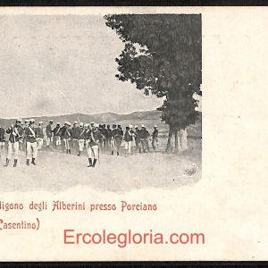 ae0492 - CARTOLINA  D'EPOCA - Arezzo Provincia - Stia