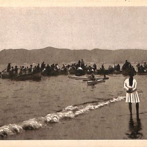ab7113 -  CARTOLINA  D'EPOCA - Savona Città - Le Regte