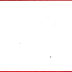 aa0406 - AUSTRIA - POSTAL HISTORY - POSTAL STATIONERY COVER Michel # U17