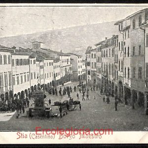 ae0493 - CARTOLINA  D'EPOCA - Arezzo Provincia - Stia  1904