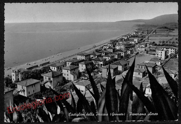 ag2064 - CARTOLINA D'EPOCA - Grosseto Provincia - Castiglione della Pescaia
