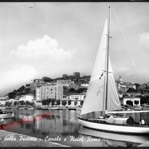ag2080 - CARTOLINA D'EPOCA - Grosseto Provincia - Castiglione della Pescaia