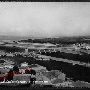 ag2083 - CARTOLINA D'EPOCA - Grosseto Provincia - Castiglione della Pescaia 1950