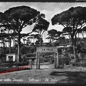 ag2104 - CARTOLINA D'EPOCA - Grosseto Provincia - Castiglione della Pescaia